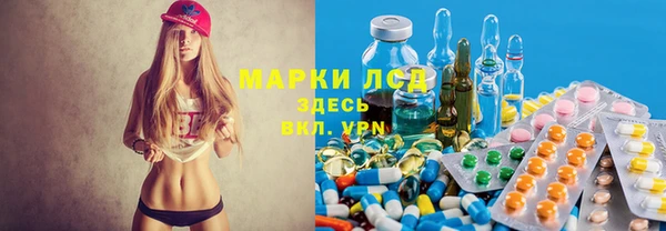 прущие грибы Гусев
