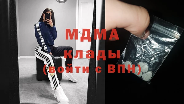 прущие грибы Гусев