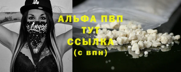 спиды Ростов