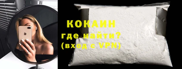 прущие грибы Гусев