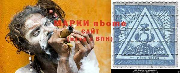 ГАЛЛЮЦИНОГЕННЫЕ ГРИБЫ Дмитриев