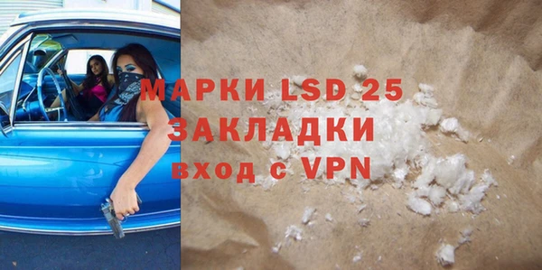 прущие грибы Гусев