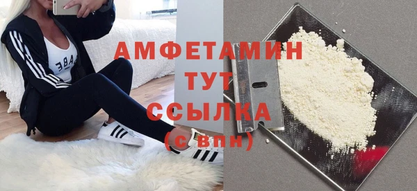 ПСИЛОЦИБИНОВЫЕ ГРИБЫ Гусь-Хрустальный
