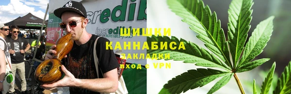 ПСИЛОЦИБИНОВЫЕ ГРИБЫ Гусь-Хрустальный