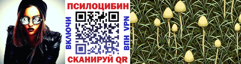Псилоцибиновые грибы прущие грибы  Дрезна 
